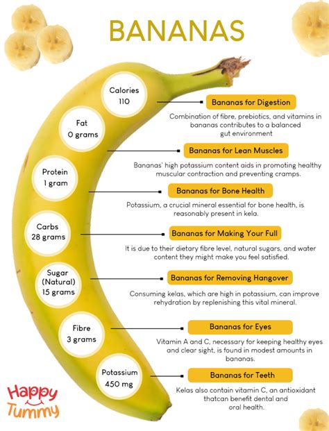 Bananas: Health Benefits and Nutritional Info Explained .